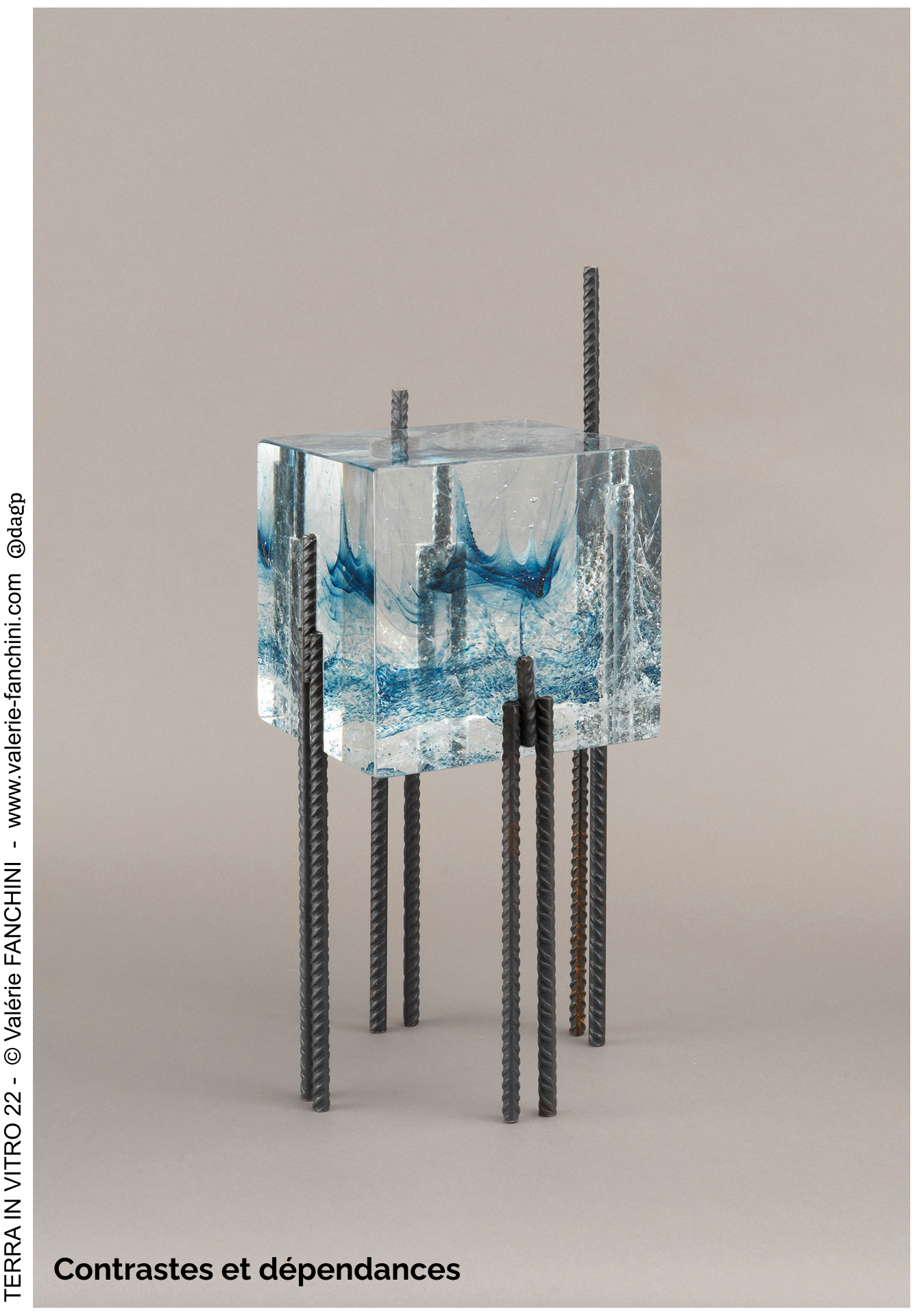 Terra in Vitro Valérie FANCHINI